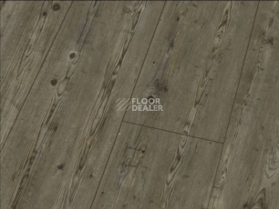 Ламинат Falquon Blue Line Wood 8mm D3546 PRIGNITZ PINE фото 1 | FLOORDEALER